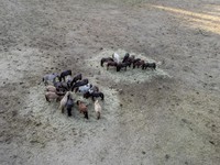 Eropa di Ambang Malapetaka, 2 'Kiamat' Ini di Depan Mata