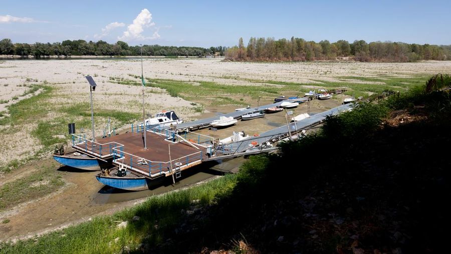 Ladang jagung benar-benar kering di Kochersberg dekat Strasbourg Prancis timur, Minggu, 28 Agustus 2022. (AP/Jean-Francois Badias)