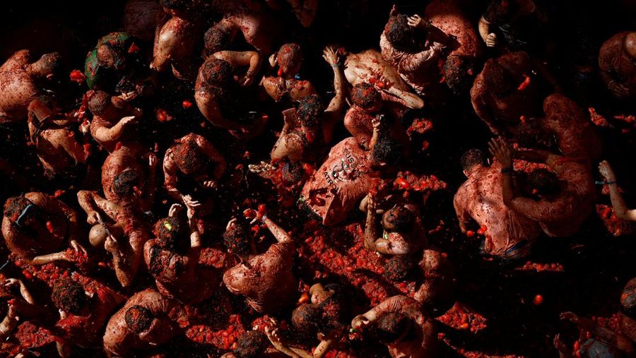 A reveler plays in tomato pulp during the annual 
