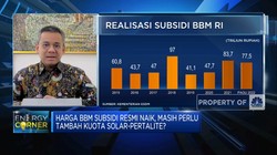 Pertalite Cs Naik, Pemerintah 