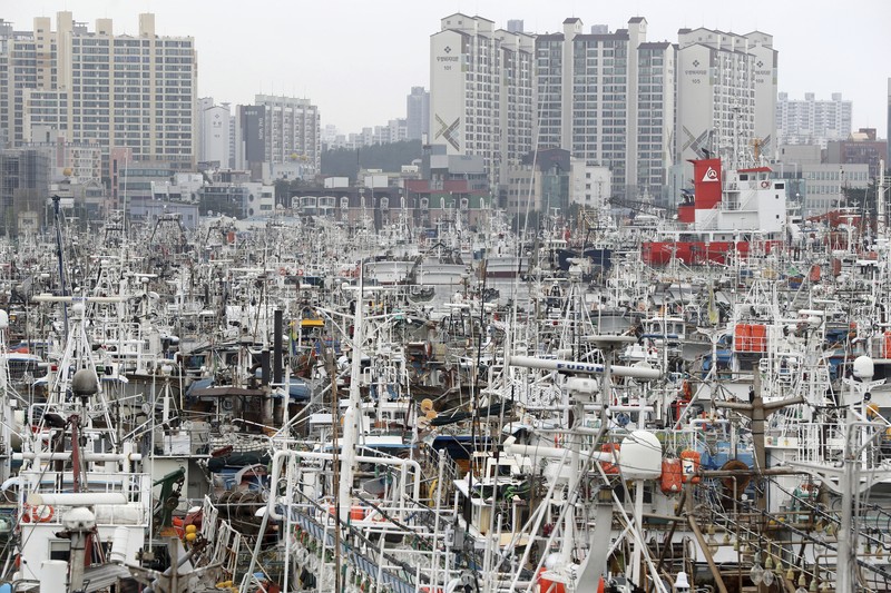 Topan Hinnamnor di pulau Jeju, Korea Selatan Seorang pria berjalan melewati angin kencang yang disebabkan oleh topan Hinnamnor di pulau Jeju, Korea Selatan, Senin (5/9/2022), (Yonhap via REUTERS)