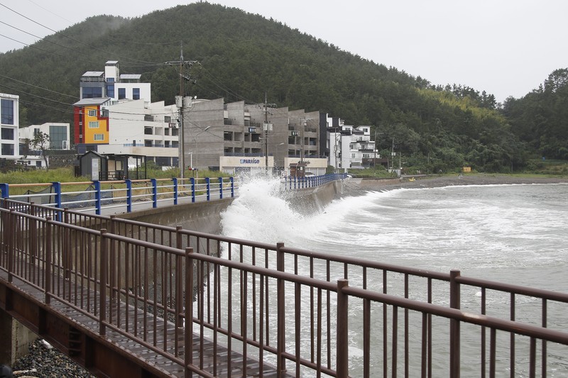 Seorang pria berjalan melewati angin kencang yang disebabkan oleh topan Hinnamnor di pulau Jeju, Korea Selatan, Senin (5/9/2022), (Yonhap via REUTERS)
