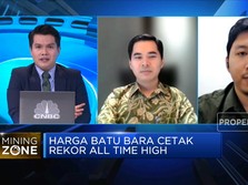 Harga Batu Bara Tembus USD 460/ton, Pasokan PLN Aman Gak Nih?