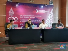 Dari Laut hingga Penerbangan, Ini Agenda G20 DMM 2022