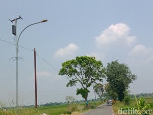 Inspektorat Ketapang Bakal Audit Pengadaan PJU Rp 3 M, Tunggu Update Kejari