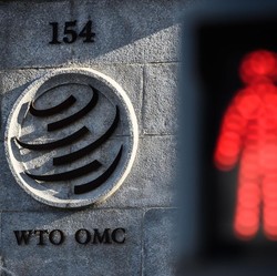 Bukan Cuma Nikel, Ada 5 Kasus RI Diserang Uni Eropa di WTO