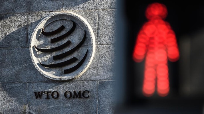 Ini Efek Ngeri Jika Indonesia Kalah di WTO, Dunia Bisa Chaos?