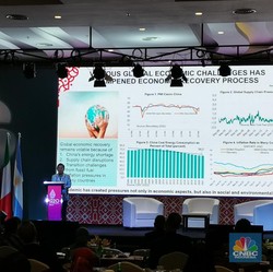 Setelah Green Economy Muncul Pula Blue Economy, Apa Itu?