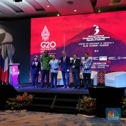 Menteri Pembangunan Denmark Singgung Subsidi BBM di Forum G20