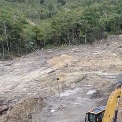 Cabut dari Emiten Happy Hapsoro, Bos Besar Ini Masuk COAL