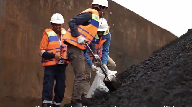 Batu Bara Menuju Kiamat? Begini Ramalan Nasib PTBA - Adaro di 2025