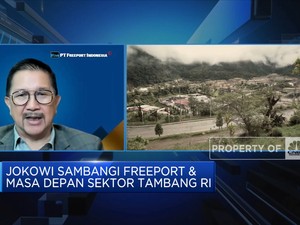 Sederet Investasi Sosial dan Rencana Green Economy Freeport