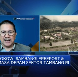 Terapkan ESG, Freeport Komit Mereduksi Karbon 30% di 2030