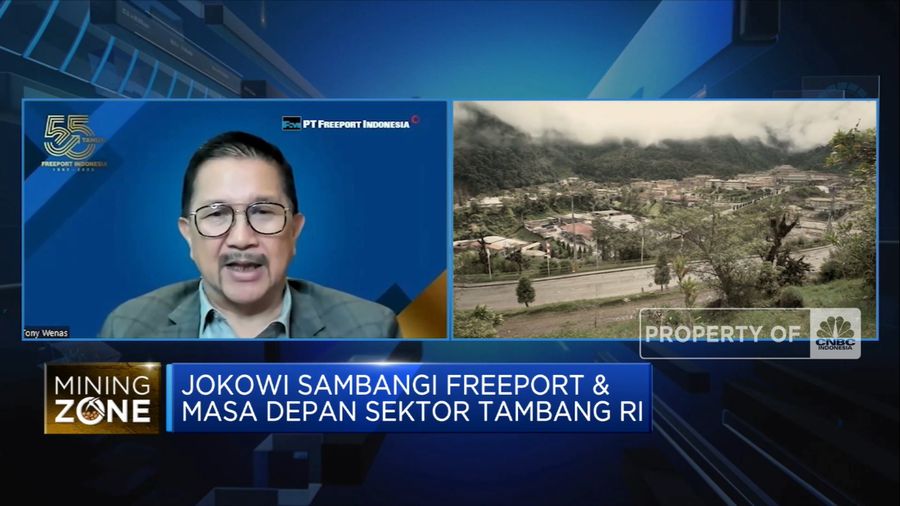 Investasi Sosial dan Rencana Green Economy PT Freeport