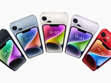 Harga iPhone 14 Tak Naik, Menyesal Enggak Beli iPhone 13?