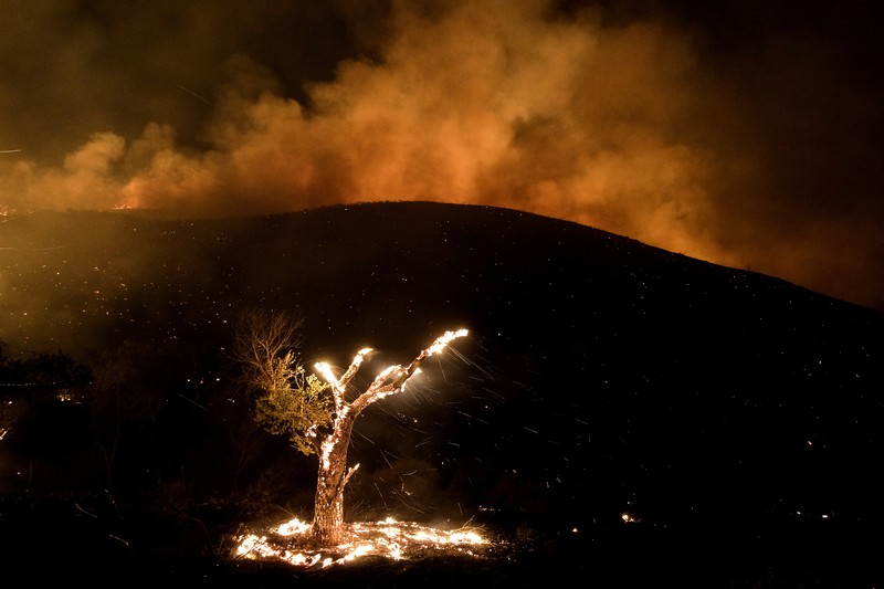 Sebuah pesawat pemadam kebakaran bekerja memadamkan api yang telah mendekati rumah selama Kebakaran hutan Fairview dekat Hemet, California di Riverside County, AS, Rabu (7/9/2022). Kebakaran hutan akibat gelombang panas di California, Amerika Serikat (AS), terus meluas dengan cepat. Kejadian tersebut menyebabkan dua orang tewas dan ribuan orang dievakuasi untuk mengungsi.  (Photo by PATRICK T. FALLON/AFP via Getty Images)