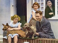 Angsa Hingga Paus di Inggris adalah Milik Ratu Elizabeth!