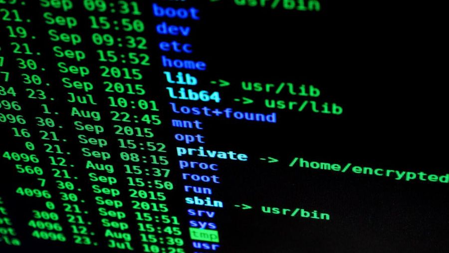 Ilustrasi Hacker (Pexels)