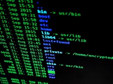 Cerita Hacker RI Lapor Celah Data Bocor: 'Diskak Baru Ngaku'