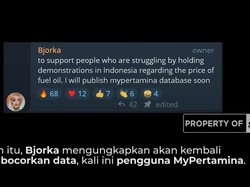 Setelah Dokumen Presiden, Bjorka Ancam 'Bocorkan' Data Ini