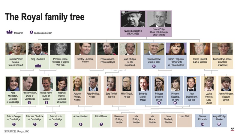 Royal Succession Tree The British royal family tree and succession plan after the passing of Queen Elizabeth II. (AP Graphic)