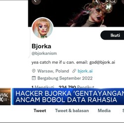 Hacker Bjorka 