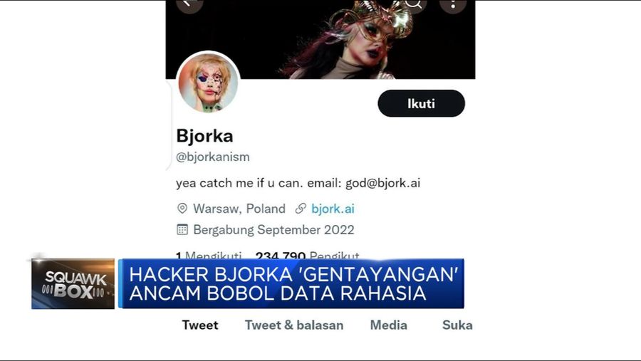 Hacker Bjorka 