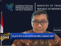 Kemendag Ungkap Antisipasi RI Hadapi Gugatan Nikel di WTO