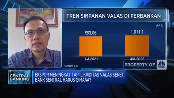 Likuiditas Valas Kian Seret, Ini Risikonya Bagi Dunia Usaha