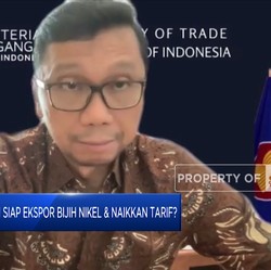 Menang atau Kalah di WTO, Nikel RI Tetap Jadi Pemain Dunia