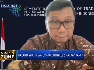 Menang atau Kalah di WTO, Nikel RI Tetap Jadi Pemain Dunia