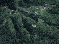 Ada Tambang Emas Ilegal di Pegunungan Arfak, Bupati Buka Suara