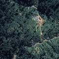 Ada Gunung Emas 53 Juta Ton di Kalimantan, Ternyata Cuma..