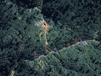 Ada Gunung Emas 53 Juta Ton di Kalimantan, Ternyata Cuma..