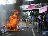 Demo Tolak BBM, Mahasiswa Bakar Ban & Terobos Kawat Berduri!
