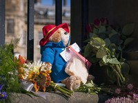 Warga Dilarang Bawa Boneka Paddington untuk Ratu Elizabeth