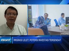 Imigrasi Lelet Hambat Investasi, Apa Masalahnya?