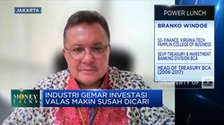 Kredit Valas Melonjak, Likuiditas Perbankan Masih Aman?