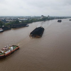 PTBA Cetak Laba Bersih Rp 3,23 T, Pendapatan Naik 11% di Q3/2024