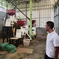 Saham PTBA Mendadak Memanas! Rupanya Ada Sinyal Tebar Dividen