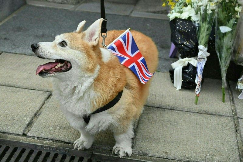 1243159136 People queue to sign a condolence book next to flowers placed as a tribute outside the British Consulate in Hong Kong on September 12, 2022, following the death of Britain's Queen Elizabeth II. (Photo by Peter PARKS / AFP) (Photo by PETER PARKS/AFP via Getty Images)