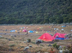 Gila! 2.000-an Pendaki Ilegal Terciduk di Gunung Gede Pangrango