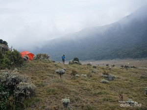 Banyak Pendaki Buang Sampah Sembarangan, Gede Pangrango Ditutup Sementara