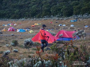 Pendaki Ilegal Diancam Blacklist di Seluruh Gunung di Indonesia