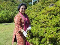 Megawati Bela Jokowi yang Naikkan Harga BBM, Apa Alasannya?
