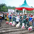Dukung Ketahanan Pangan, PHR-TNI AD Olah 100 Hektar Pertanian