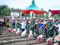 Dukung Ketahanan Pangan, PHR-TNI AD Olah 100 Hektar Pertanian