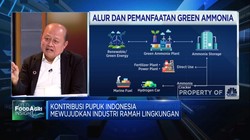 Sinergi Pupuk Indonesia Kembangkan Bisnis Amonia Hijau
