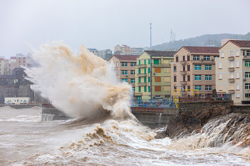 ZHOUSHAN, CHINA - SEPTEMBER 14: Strong winds batter trees as Typhoon Muifa approaches Zhoushan on September 14, 2022 in Zhoushan, Zhejiang Province of China. Typhoon Muifa is expected to make landfall on the coast of Zhoushan on Wednesday night. (Photo by Wang Gang/China News Service via Getty Images)
