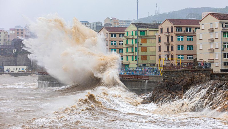 ZHOUSHAN, CHINA - SEPTEMBER 14: Strong winds batter trees as Typhoon Muifa approaches Zhoushan on September 14, 2022 in Zhoushan, Zhejiang Province of China. Typhoon Muifa is expected to make landfall on the coast of Zhoushan on Wednesday night. (Photo by Wang Gang/China News Service via Getty Images)